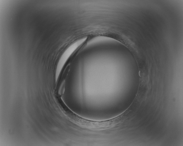 X0000080660027200612221102