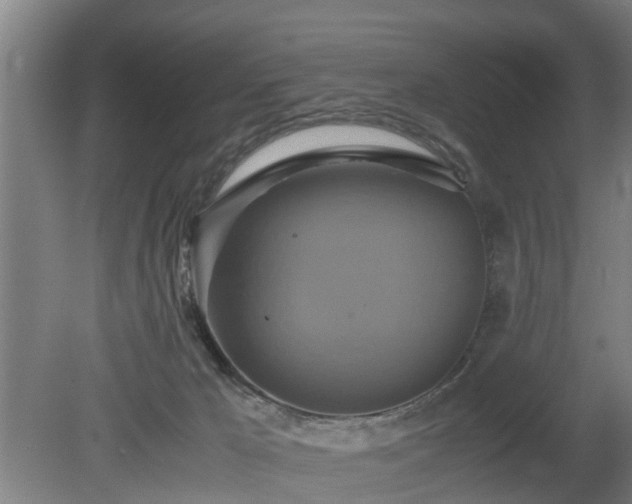 X0000080660029200612221102