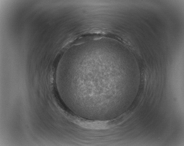 X0000080660032200612221102