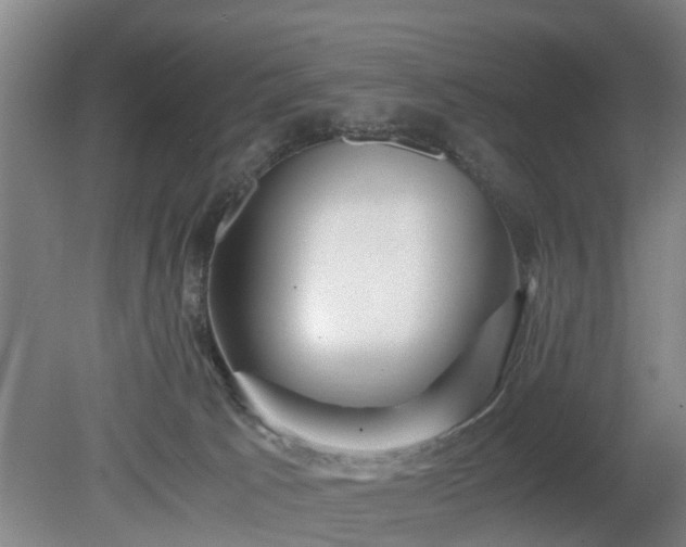 X0000080660033200612221102