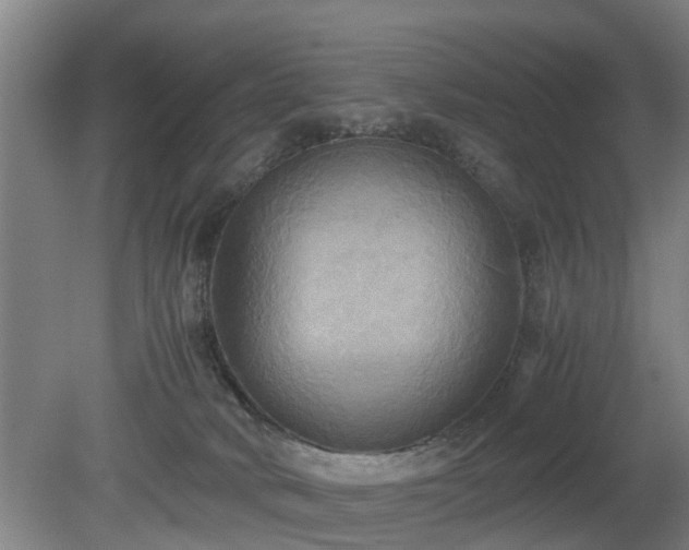 X0000080660034200612221102