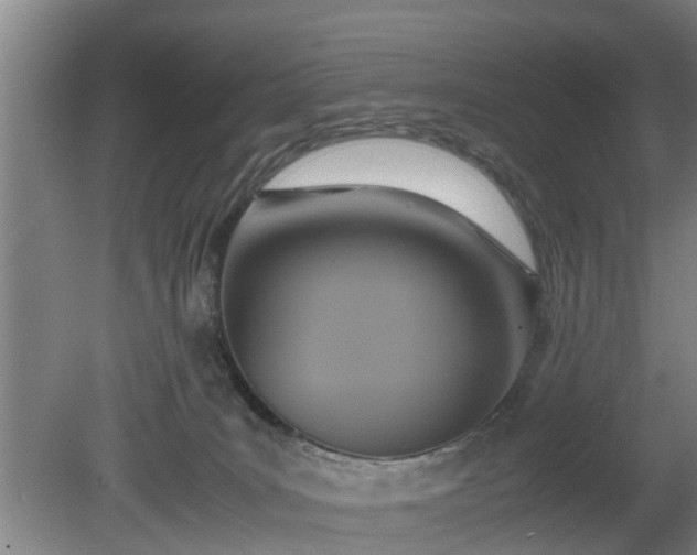 X0000080660035200612221102