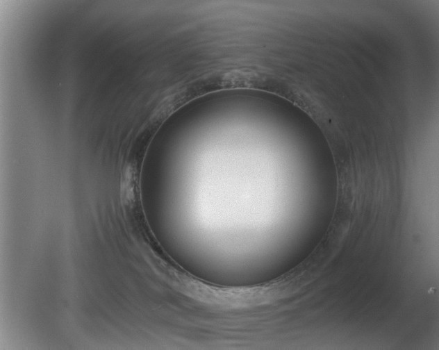 X0000080660038200612221102
