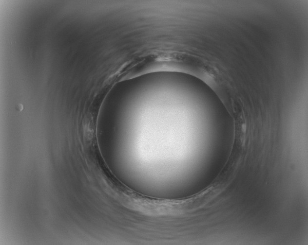 X0000080660040200612221102