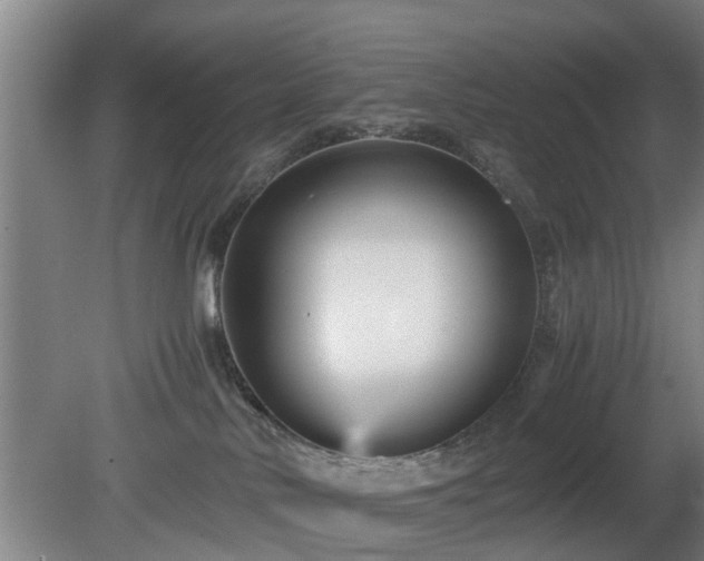 X0000080660042200612221102