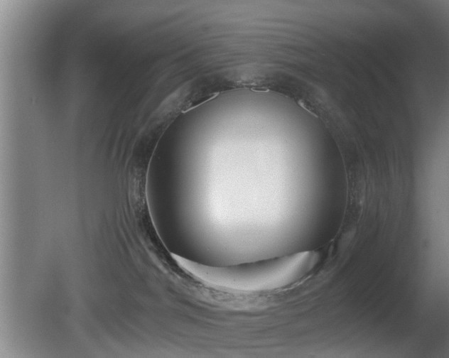 X0000080660044200612221102