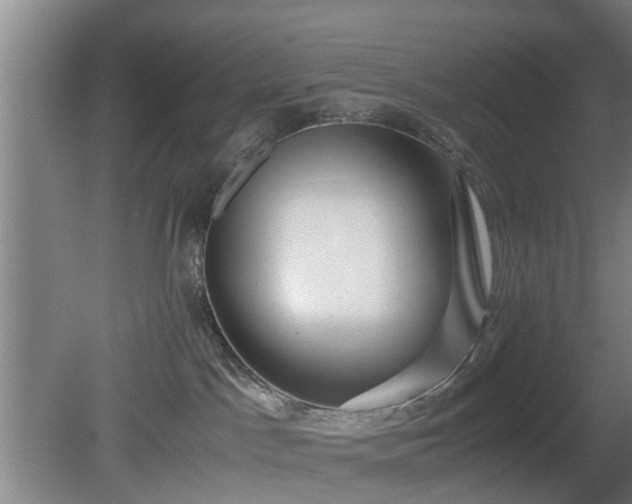 X0000080660045200612221102