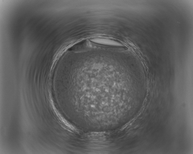 X0000080660049200612221101