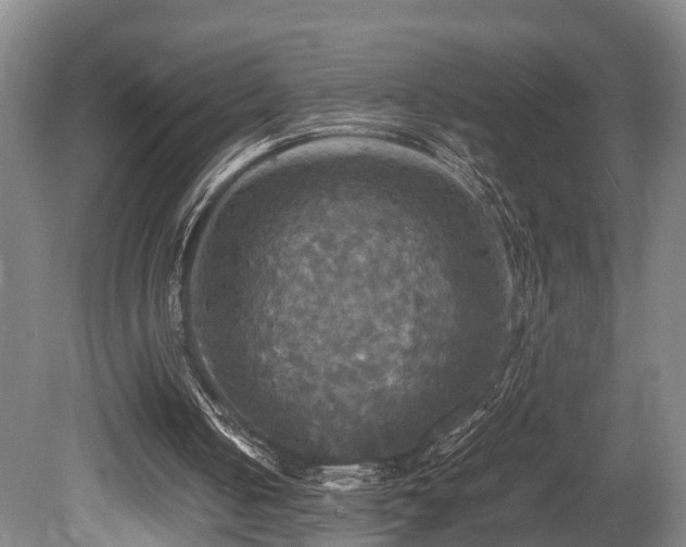X0000080660050200612221101