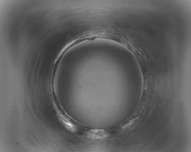 X0000080660052200612221101