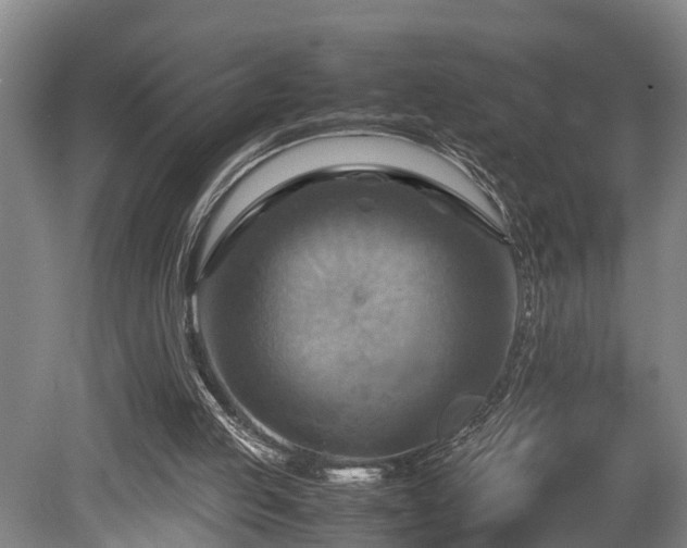 X0000080660053200612221101