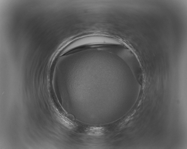 X0000080660055200612221101