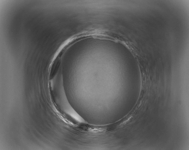 X0000080660056200612221101