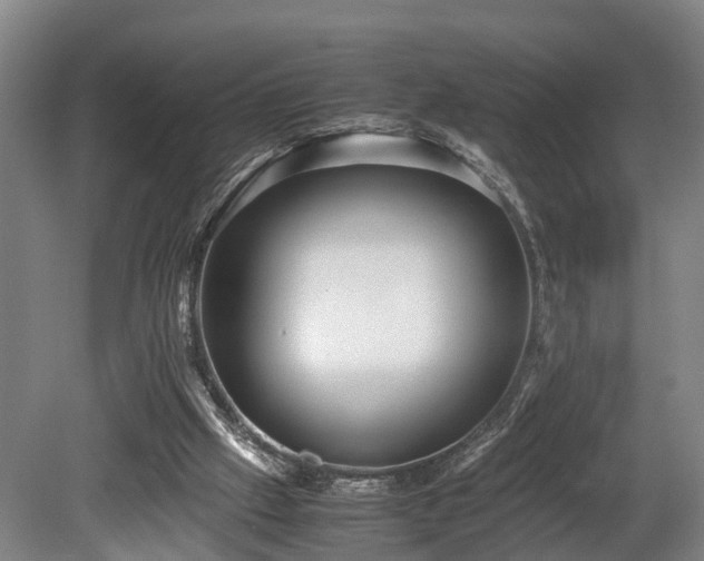 X0000080660057200612221101