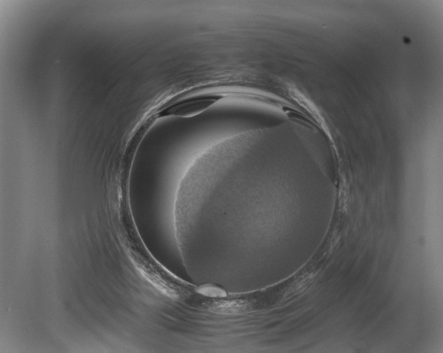 X0000080660059200612221101