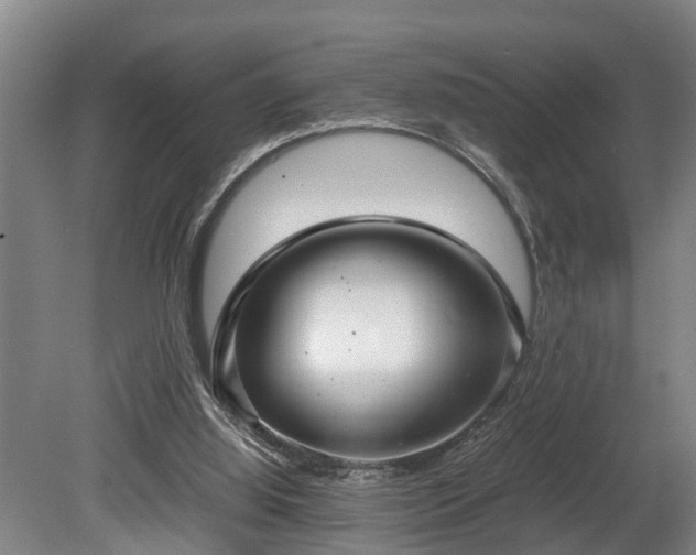 X0000080660060200612221101