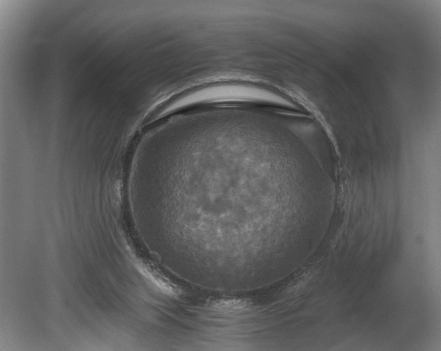 X0000080660063200612221101