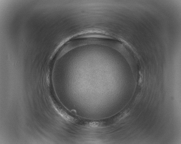 X0000080660064200612221101