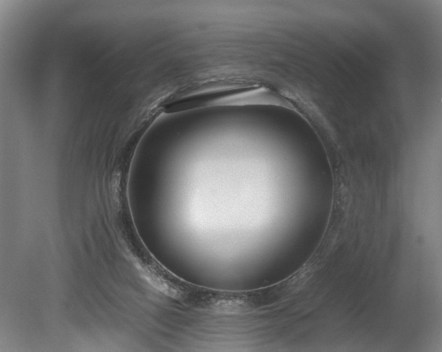 X0000080660066200612221101