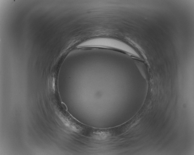 X0000080660067200612221101