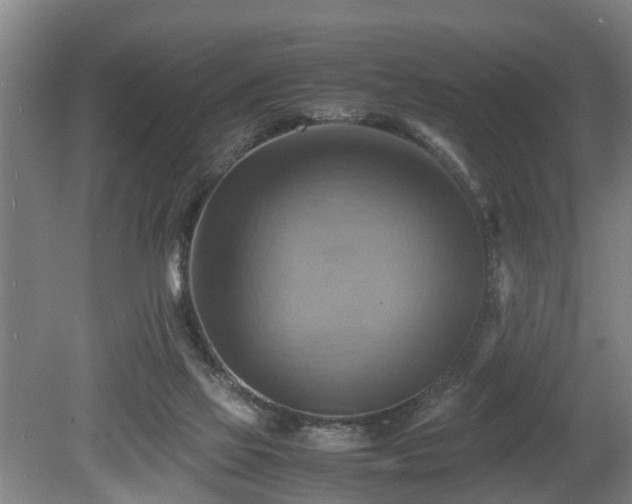 X0000080660069200612221102