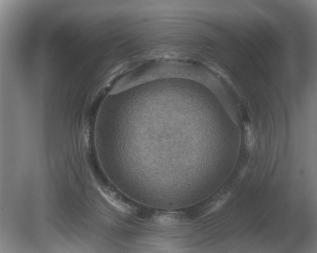 X0000080660072200612221102