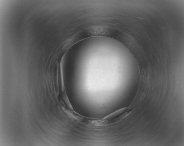 X0000080660089200612221102