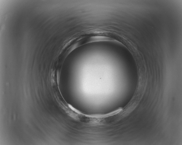 X0000080660096200612221102