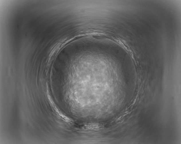X0000080660097200612221101