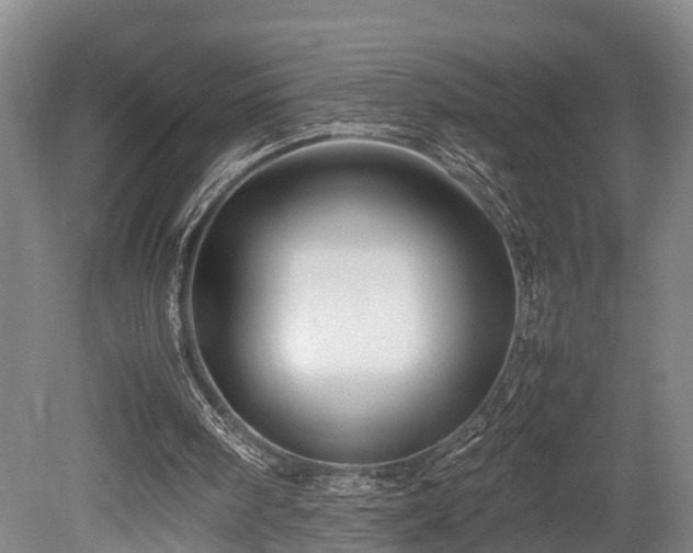 X0000080660098200612221101