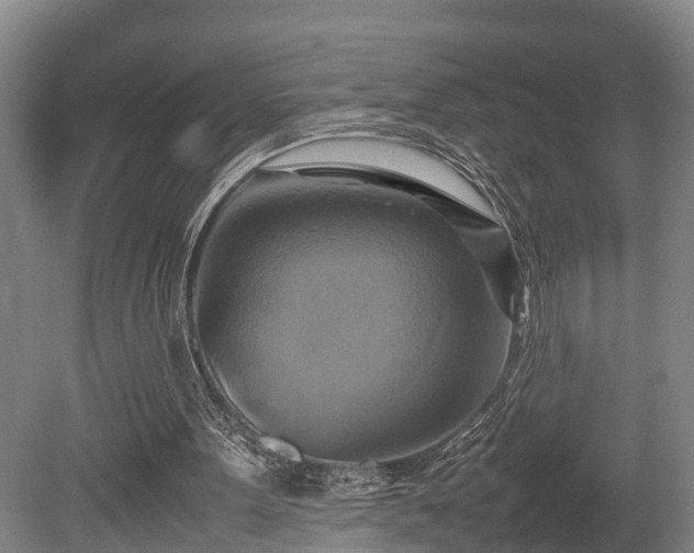 X0000080660099200612221101