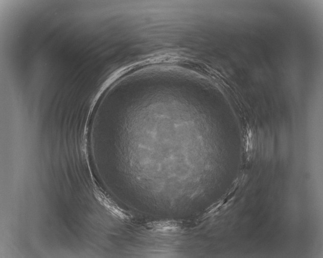 X0000080660100200612221101