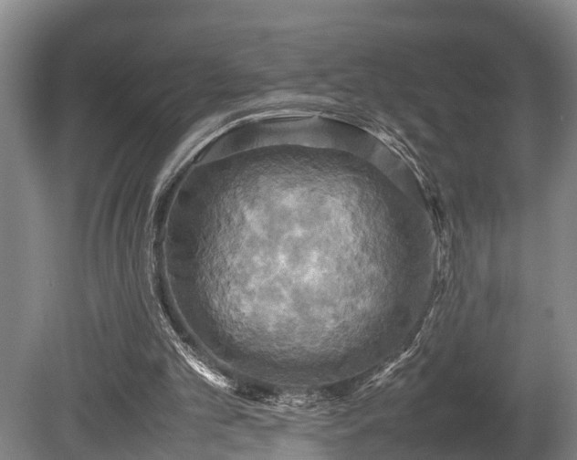X0000080660101200612221101