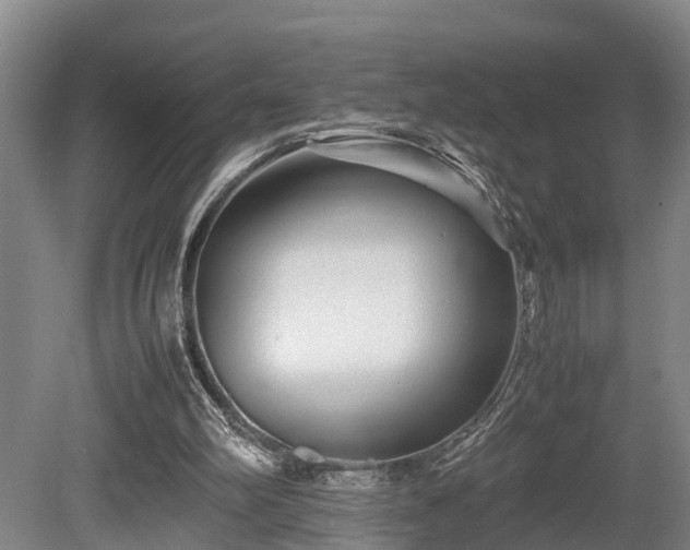 X0000080660102200612221101