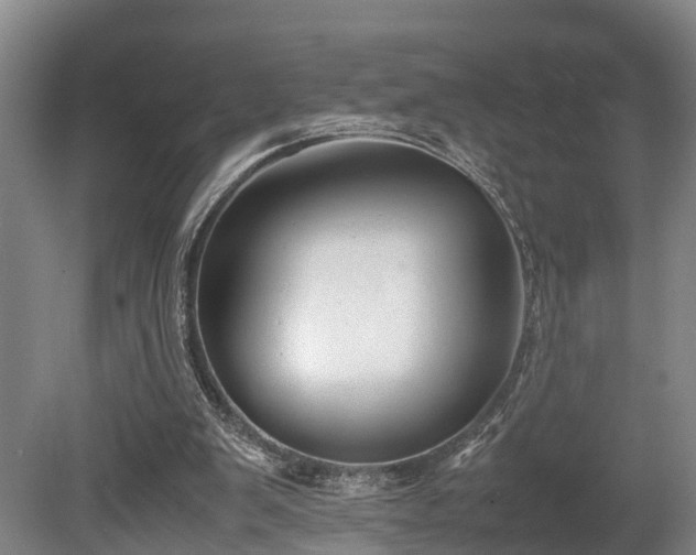 X0000080660103200612221101