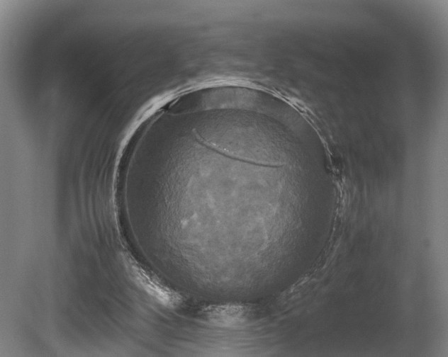 X0000080660104200612221101