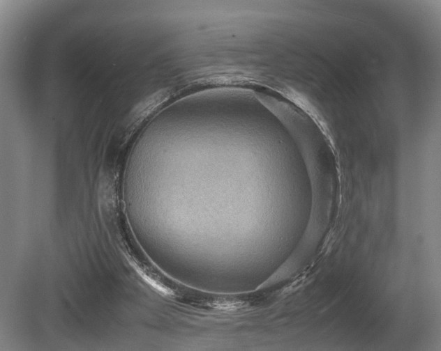 X0000080660105200612221101