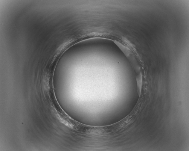 X0000080660106200612221101