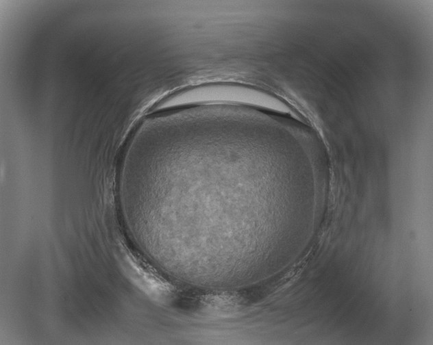 X0000080660107200612221101