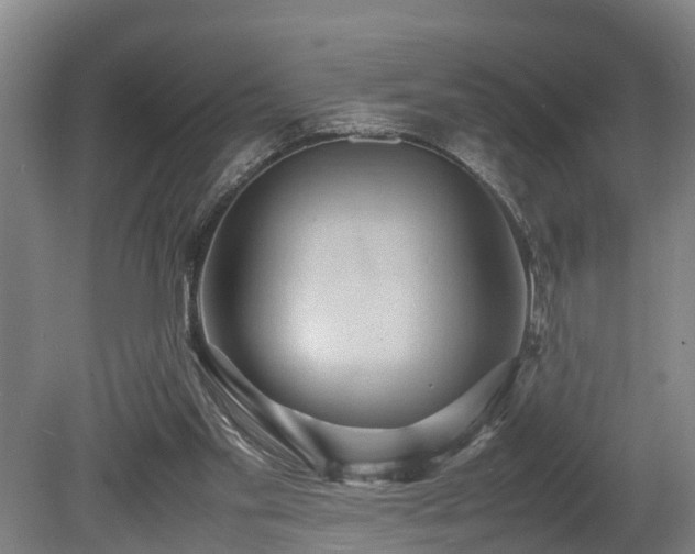 X0000080660109200612221101