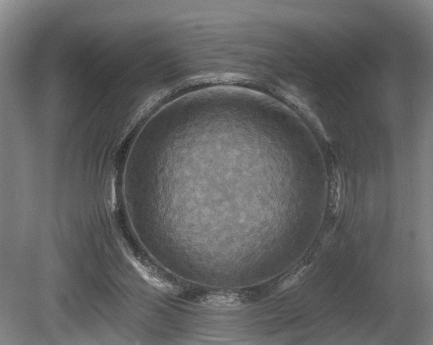 X0000080660110200612221101