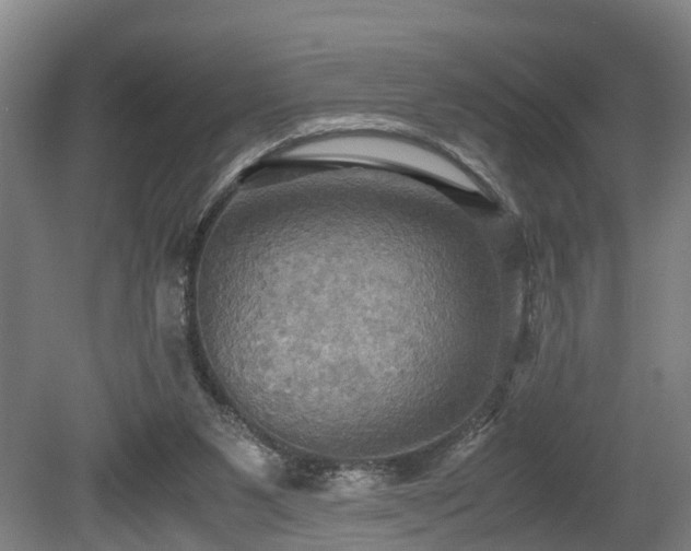 X0000080660111200612221101