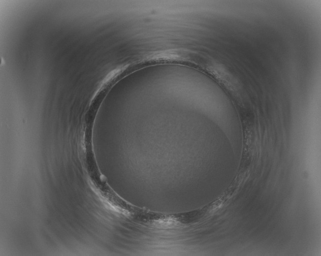 X0000080660112200612221101