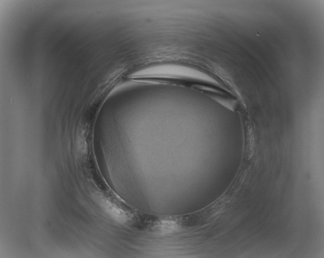 X0000080660114200612221101