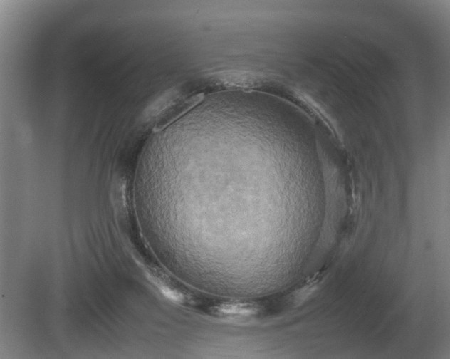 X0000080660117200612221101