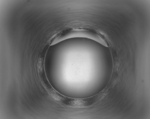 X0000080660121200612221101