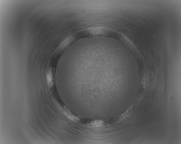 X0000080660124200612221101