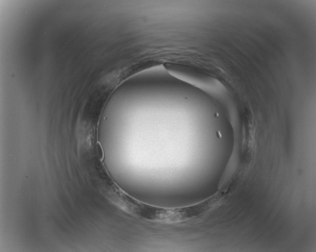 X0000080660125200612221101