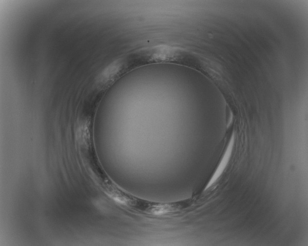 X0000080660127200612221101