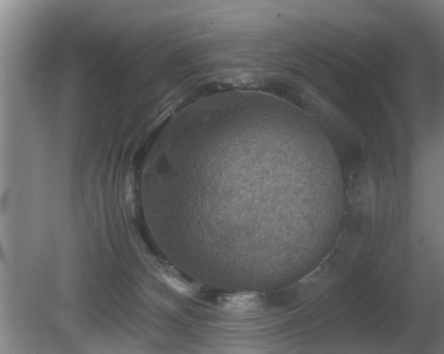 X0000080660132200612221101